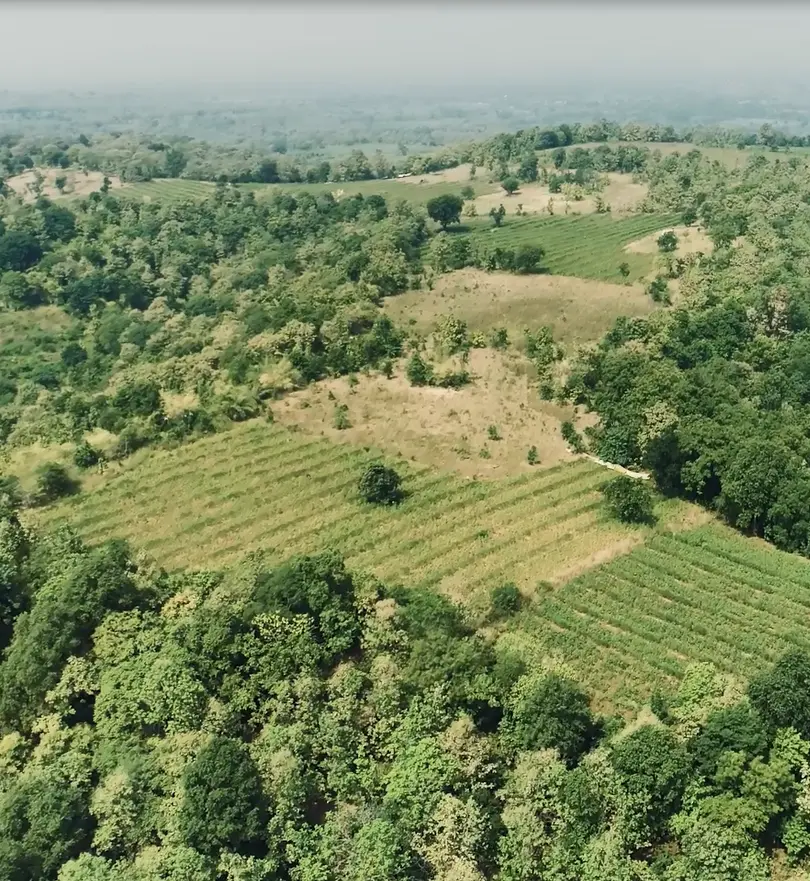 Mangurda location — hills, forest and Muchi Lake setting