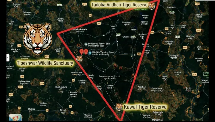 Map graphic showing Mangurda at the centre of the Tadoba, Kawal and Tipeshwar triangle
